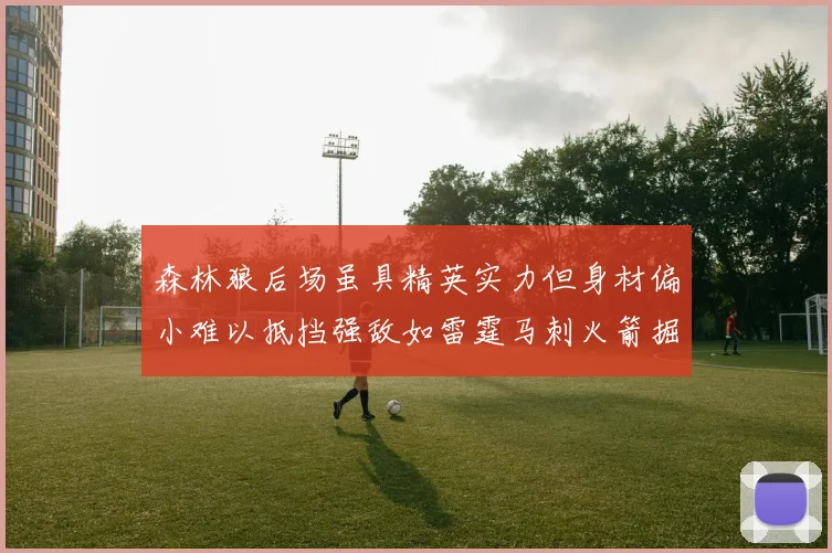 森林狼后场虽具精英实力但身材偏小难以抵挡强敌如雷霆马刺火箭掘金